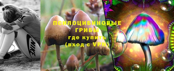 винт Алексин